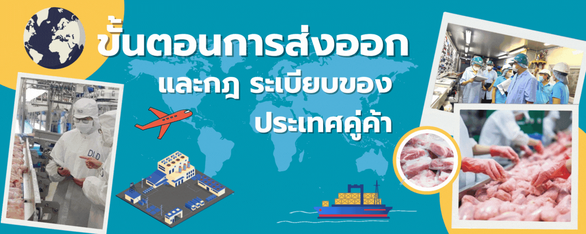 exportBannerV2