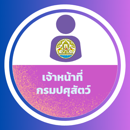 12 Biz Portal