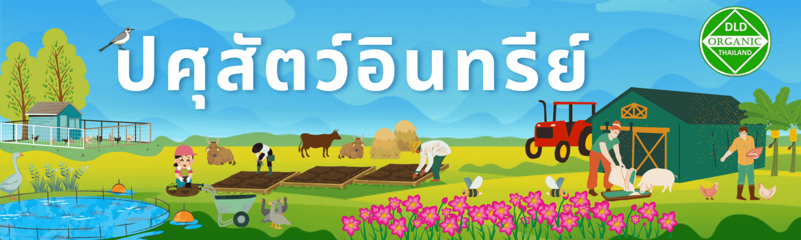 OrganicBannerV2